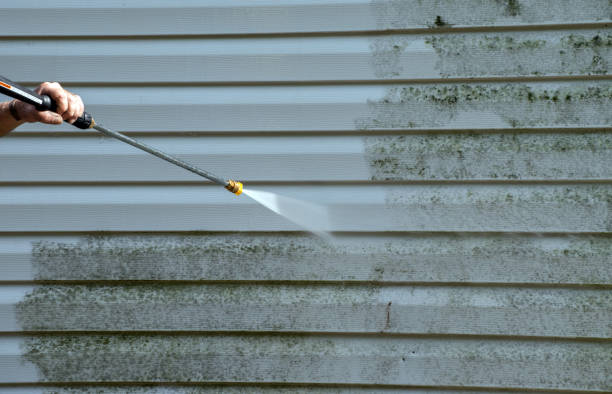 Best Roof Pressure Washing  in Fruitport, MI