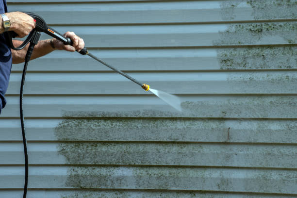 Best Pressure Washing Services Near Me  in Fruitport, MI