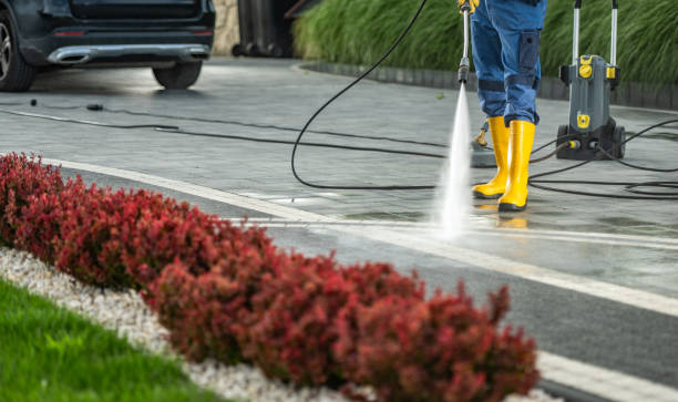 Best Residential Pressure Washing Services  in Fruitport, MI