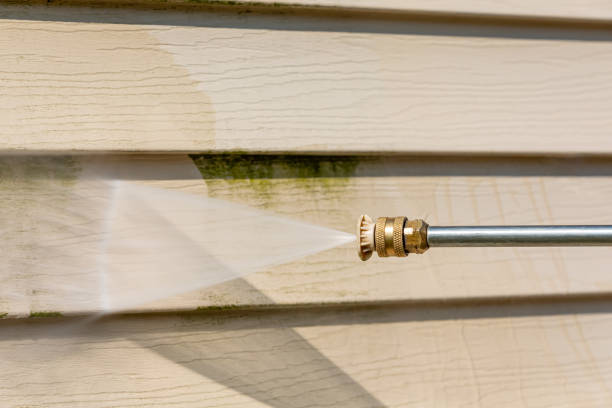 Best Pressure Washing Siding  in Fruitport, MI